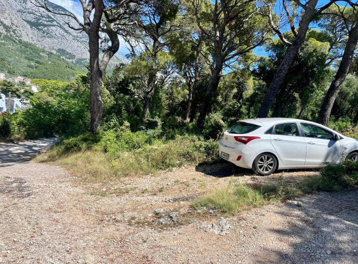 Top-apartment - Direkt Am Meer Makarska
